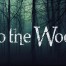 PSC Into the Woods